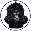 Pawspective Group Ltd