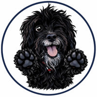 Pawspective Group Ltd