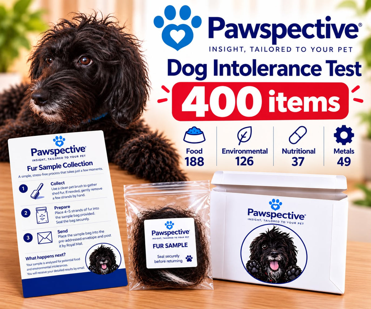 Dog Intolerance Test - 400 item