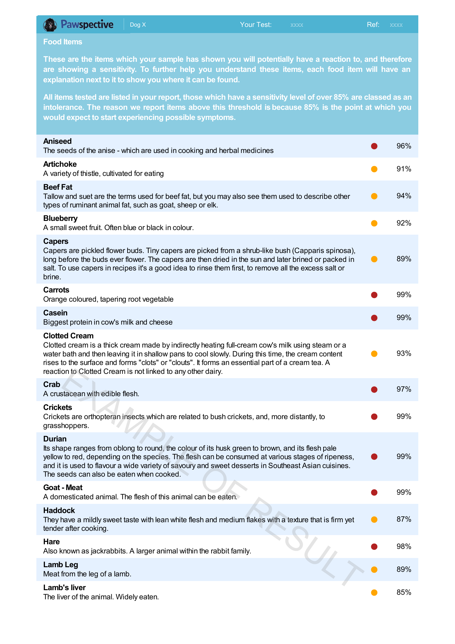 First page of the Pawspective sample report extract